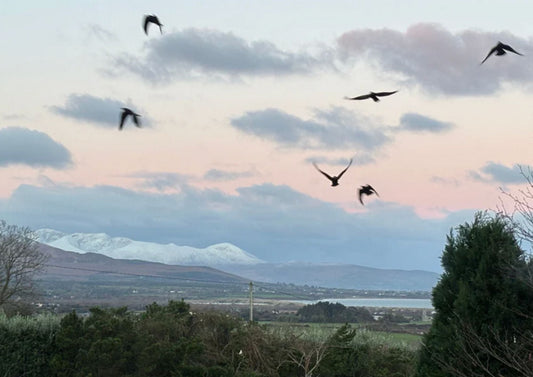 When Light Slows on the West Coast