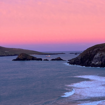 Coastal scene of Dingle Peninsula with a pink sunset over the Atlantic ocean and cliffs.